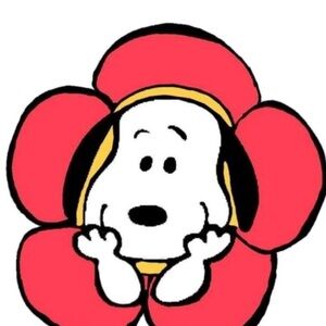 OFFER FIRST!! BUNDLE TO SAVE❤️